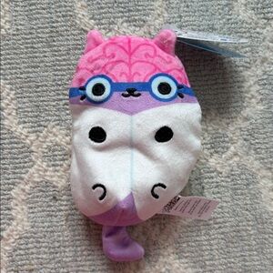 Cats vs Pickles - Cerebellum